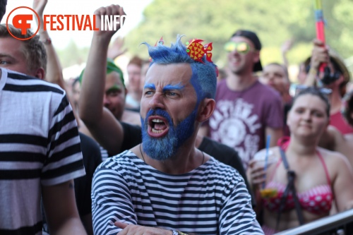 Sfeerfoto Sziget 2015