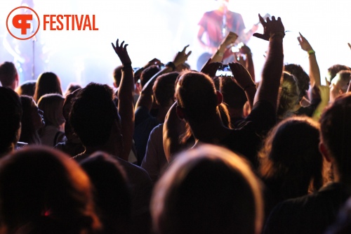 Sfeerfoto Sziget 2015