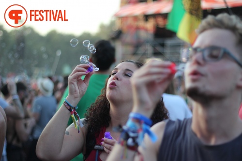 Sfeerfoto Sziget 2015