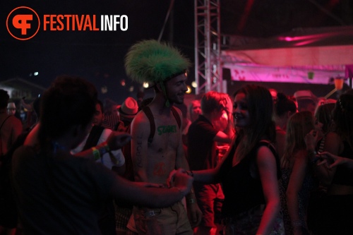 Sfeerfoto Sziget 2015