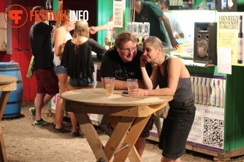 Sfeerfoto Sziget 2015