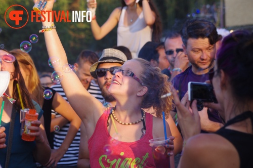 Sfeerfoto Sziget 2015