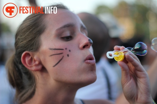 Sfeerfoto Sziget 2015