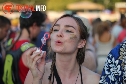 Sfeerfoto Sziget 2015