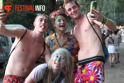 Sfeerfoto Sziget 2015