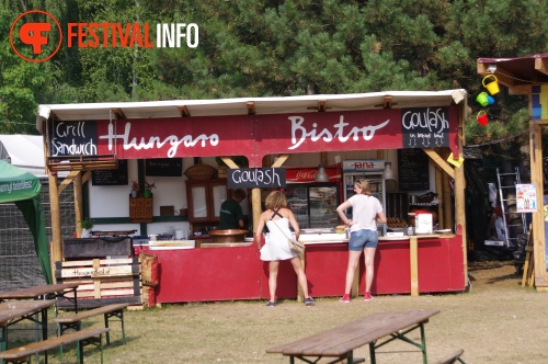 Sfeerfoto Sziget 2015