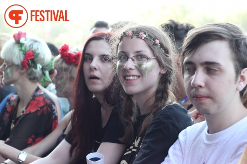 Sfeerfoto Sziget 2015