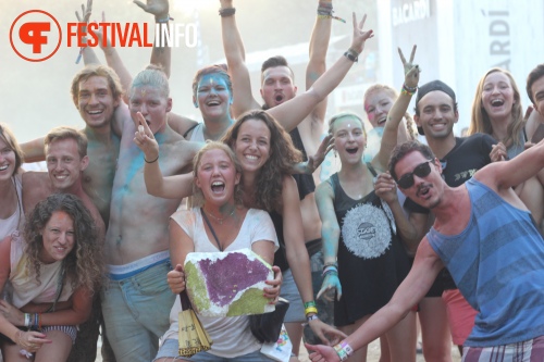 Sfeerfoto Sziget 2015