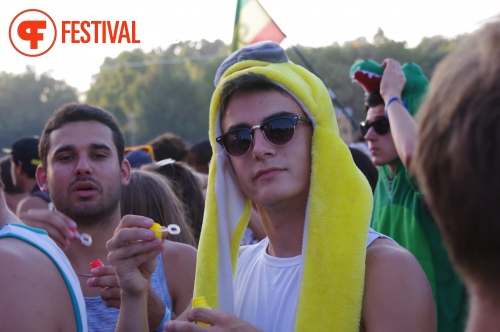 Sfeerfoto Sziget 2015