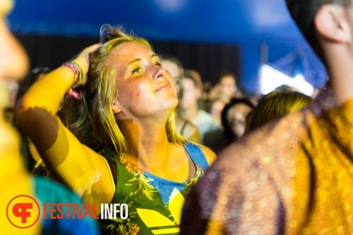 Sfeerfoto Lowlands 2015 - vrijdag