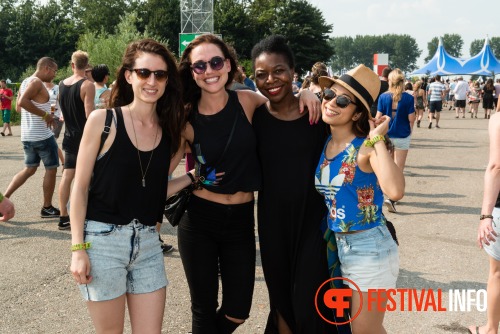 Sfeerfoto Lowlands 2015 - vrijdag