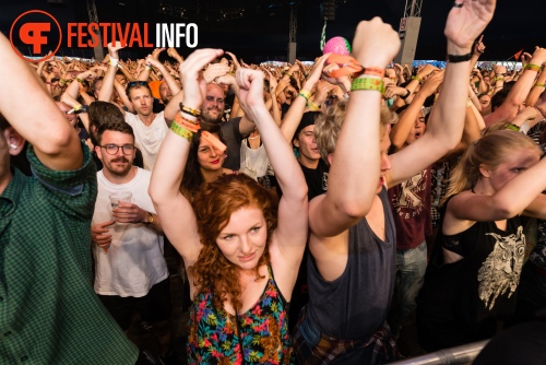 Sfeerfoto Lowlands 2015 - zaterdag