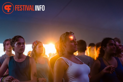 Sfeerfoto Lowlands 2015 - zaterdag