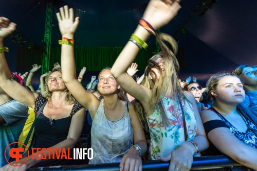 Sfeerfoto Lowlands 2015 - zondag