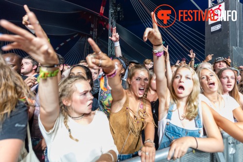 Sfeerfoto Lowlands 2015 - zondag