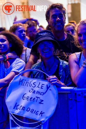 Sfeerfoto Lowlands 2015 - zondag