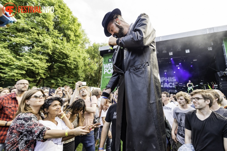 Sfeerfoto Werfpop