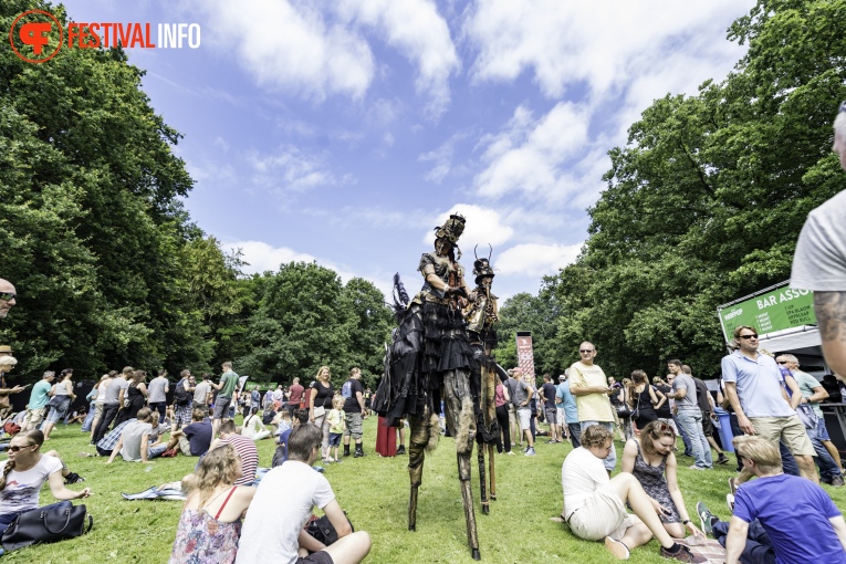 Sfeerfoto Werfpop