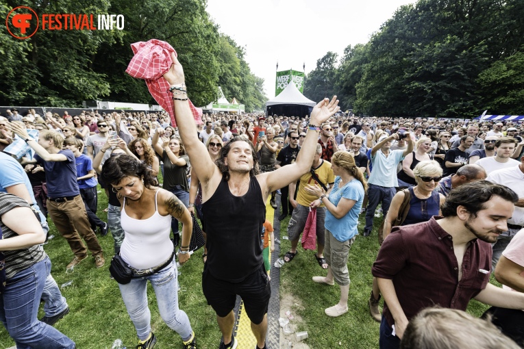 Sfeerfoto Werfpop