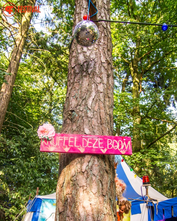 Sfeerfoto Into the Woods 2016