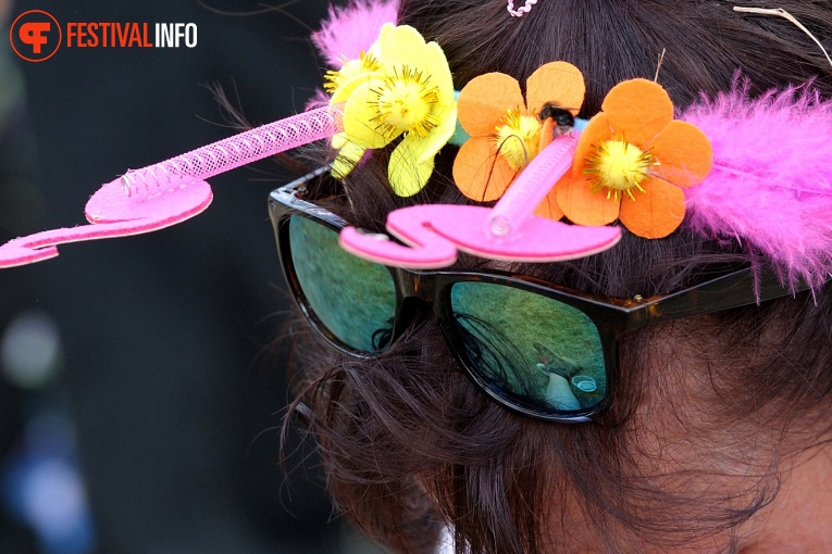 Sfeerfoto Pinkpop 2017