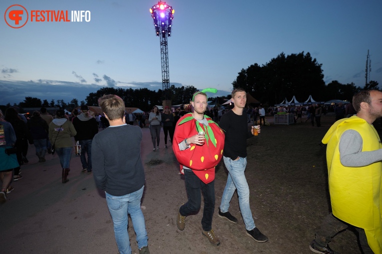 Sfeerfoto Lowlands 2017