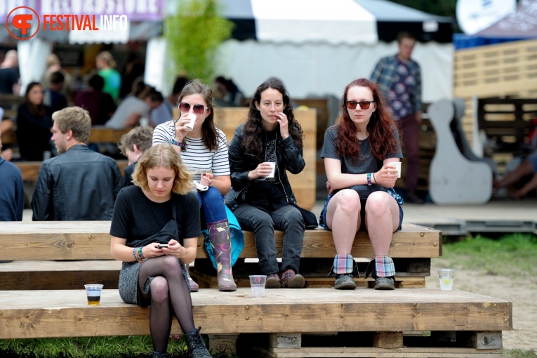 Sfeerfoto Lowlands 2017