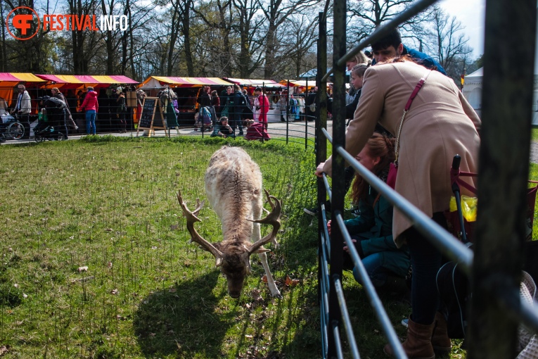 Sfeerfoto Elf Fantasy Fair 2019