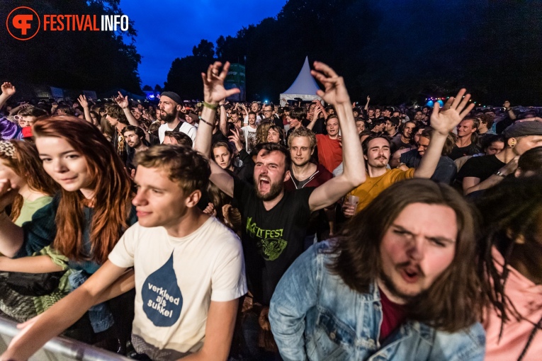 Sfeerfoto Werfpop 2019