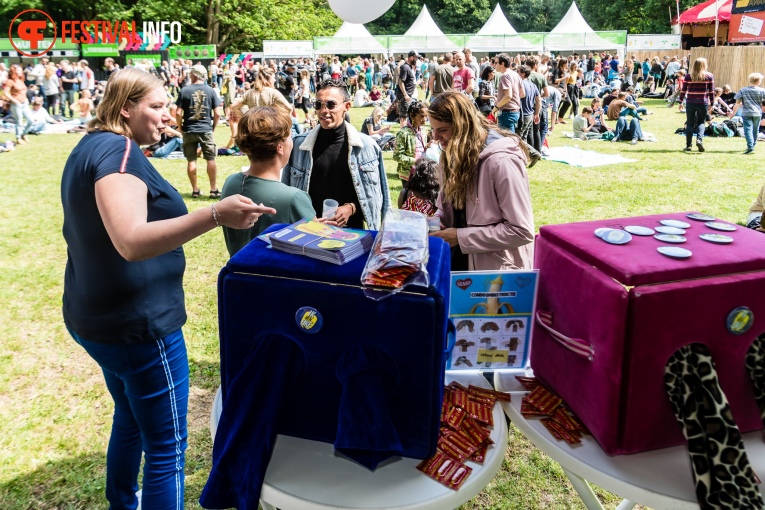 Sfeerfoto Werfpop 2019