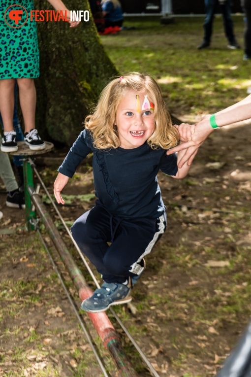 Sfeerfoto Werfpop 2019