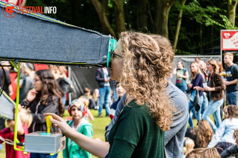 Sfeerfoto Werfpop 2019