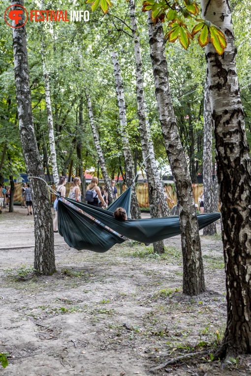 Sfeerfoto Sziget 2019