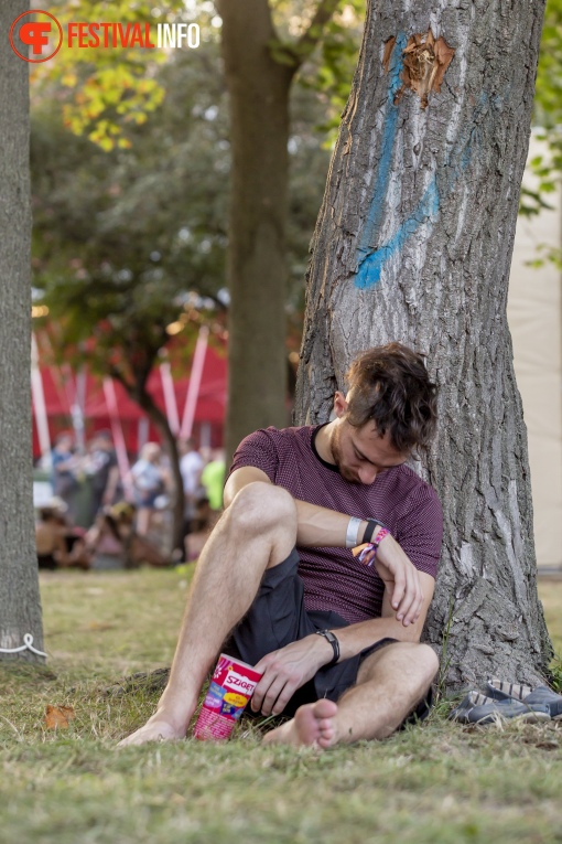 Sfeerfoto Sziget 2019