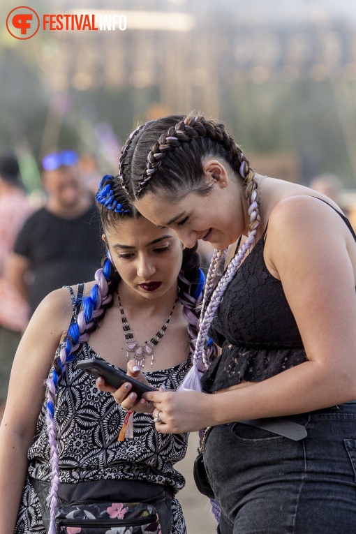 Sfeerfoto Sziget 2019