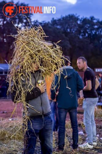 Sfeerfoto Tuckerville 2019