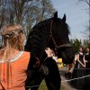 Sfeerfoto Elf Fantasy Fair 2010 - zaterdag 24 april