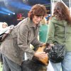 Foto Bevrijdingsfestival Zuid-Holland