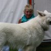 Foto Bevrijdingsfestival Zuid-Holland 2010 - woensdag 5 mei