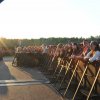 Foto Pinkpop 2010 - vrijdag 28 mei