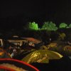 Foto Dour Festival - donderdag 15 juli 2010