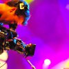 Foto Gentse Feesten 2010 - zondag 18 juli