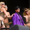 Foto Pinkpop Classic 	2010 - zaterdag 14 augustus