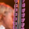 Sfeerfoto Pinkpop Classic 	2010 - zaterdag 14 augustus