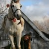 Foto Archeon Midwinter Fair - zondag 12 december 2010
