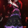 Foto The Gypsy Queens and Kings - 12/2 - Paard van Troje