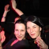 Foto The Gypsy Queens and Kings - 12/2 - Paard van Troje