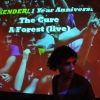 Sfeerfoto Weekender! 1 Year Anniversary - 26/2 - Rotown