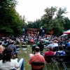 Sfeerfoto Folkwoods 2009 - zondag 16 augustus