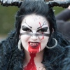 Sfeerfoto Elf Fantasy Fair 2011 - zaterdag 16 april